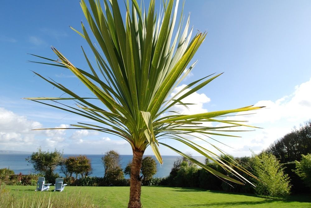 Trevalsa Court Hotel Mevagissey Bagian luar foto